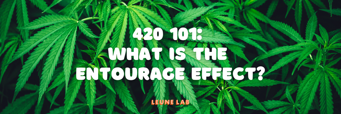 420 101: What is the Entourage Effect?