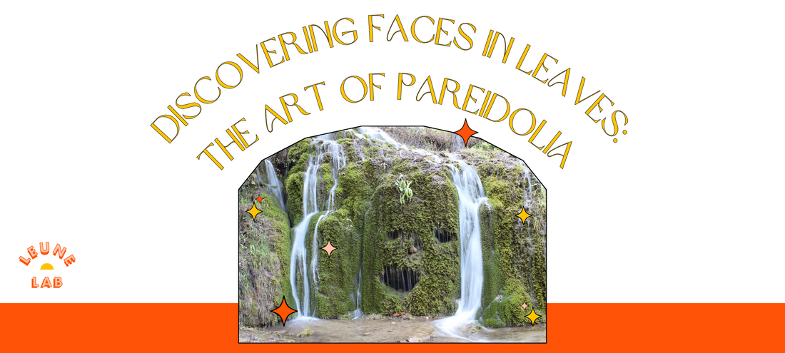 Discovering Faces in the Leaves: The Art of Pareidolia