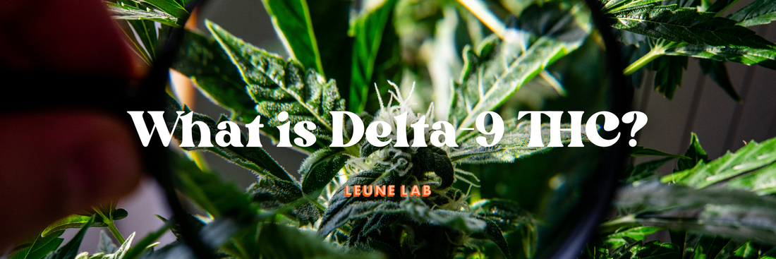 What Is Delta-9 THC?